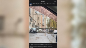На Юго-Западе Петербурга ветер «положил» огромное дерево на автомобили