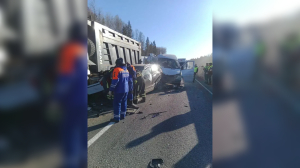 После массового ДТП на 99 км трассы А-120 в Ленобласти «скорая» осматривает девять пострадавших