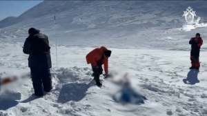 СК выясняет причины смерти двух петербургских туристов на Камчатке: их тела перевезли в Елизово