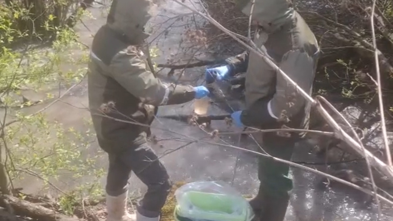 Химикаты попали в Неву через реку Мурзинка. Мутная вода привела петербуржцев к «Экопром»
