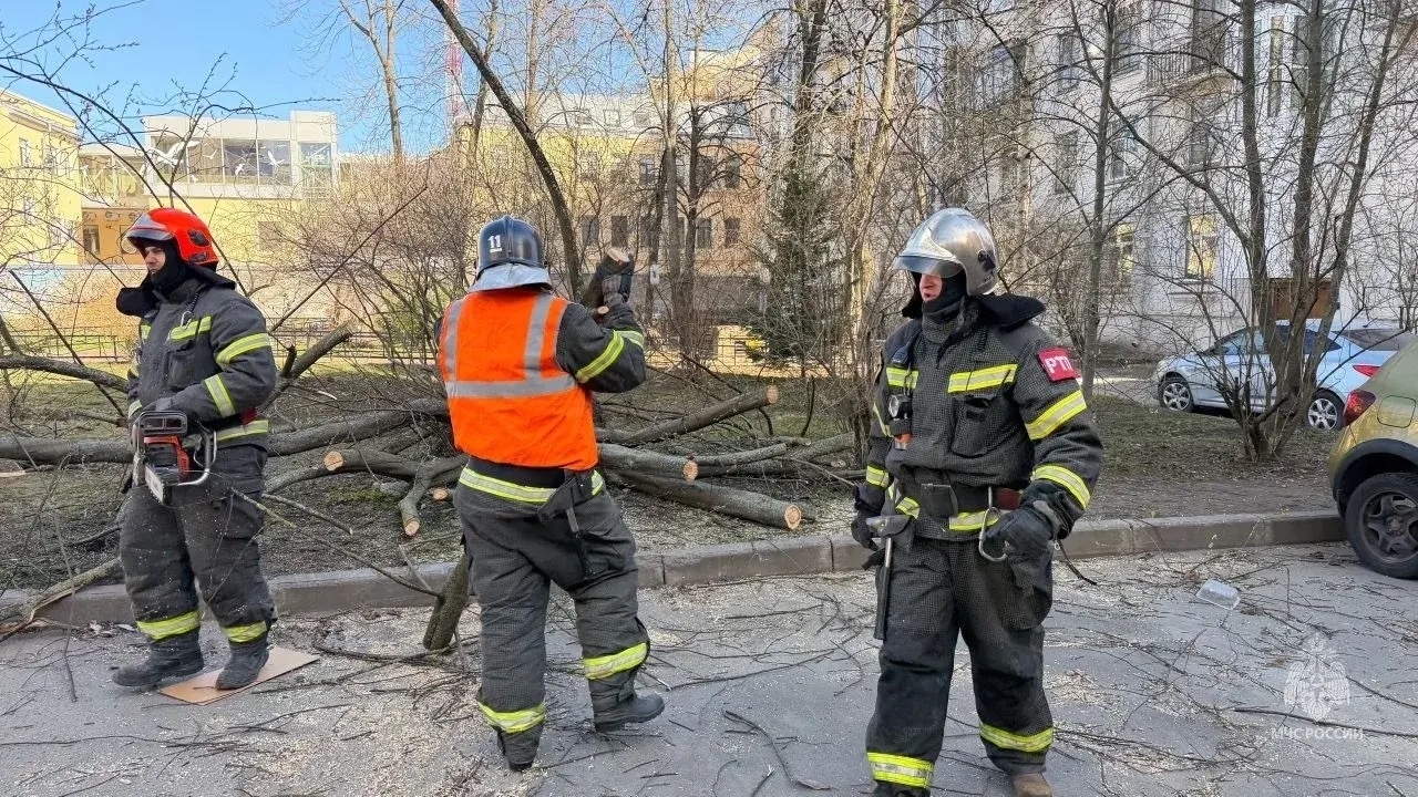Петербургские спасатели 50 раз боролись с последствиями сильного ветра 8 апреля