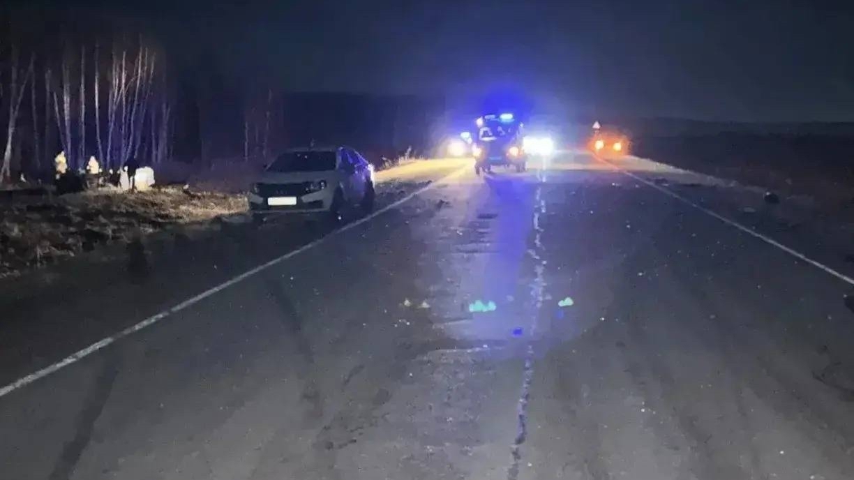 В ДТП под Красноярском погибли 2 подростка, 19-летний водитель и лошадь