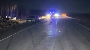 В ДТП под Красноярском погибли 2 подростка, 19-летний водитель и лошадь