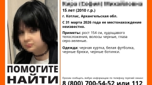 После пропажи 15-летней школьницы под Архангельском завели уголовку