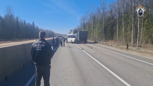 Следствие выясняет детали ДТП с 13 пострадавшими в Тосно. Возбуждено уголовное дело