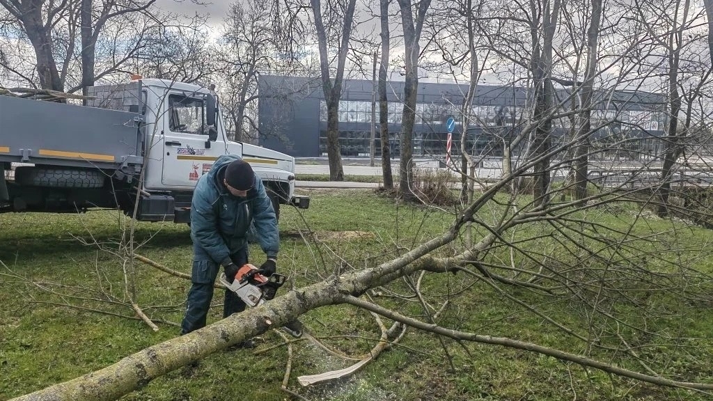 В Петербурге убирают упавшие деревья в скверах и на дорогах после сильного ветра