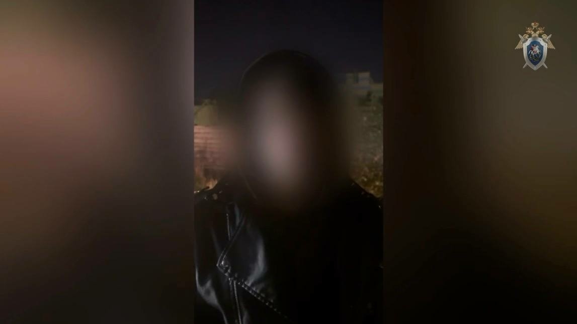 В Петербурге осудят 17-летнего парня за работу на украинских кураторов