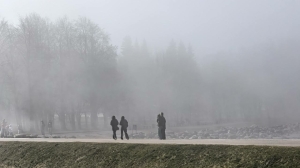 Петербуржцы гуляют в густом тумане с минимальной видимостью