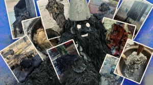 Забили канализацию мусором на 70%: назван район Петербурга, лидирующий по засорам