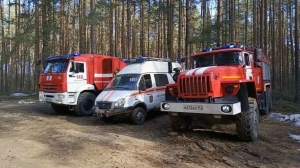 Пожароопасный сезон под Петербургом начнется с 17 апреля