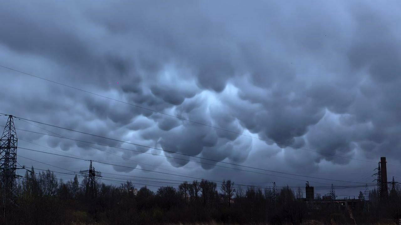 Редкие облака мамматус заметили над Петербургом