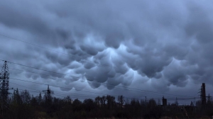 Редкие облака мамматус заметили над Петербургом