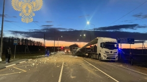 После смертельного столкновения автобуса и грузовика в Ленобласти завели уголовку