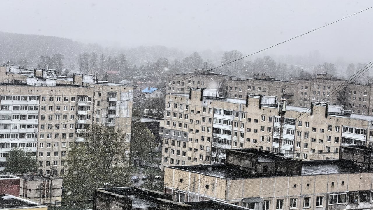 Жителям СПб: в каких районах ЛО 1 мая будет до +12 — едем на восток