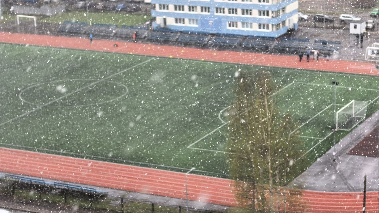 Где в ЛО встретить майские праздники: 3 района, куда стоит поехать 1 мая