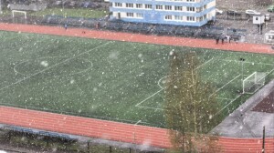 Где в ЛО встретить майские праздники: 3 района, куда стоит поехать 1 мая