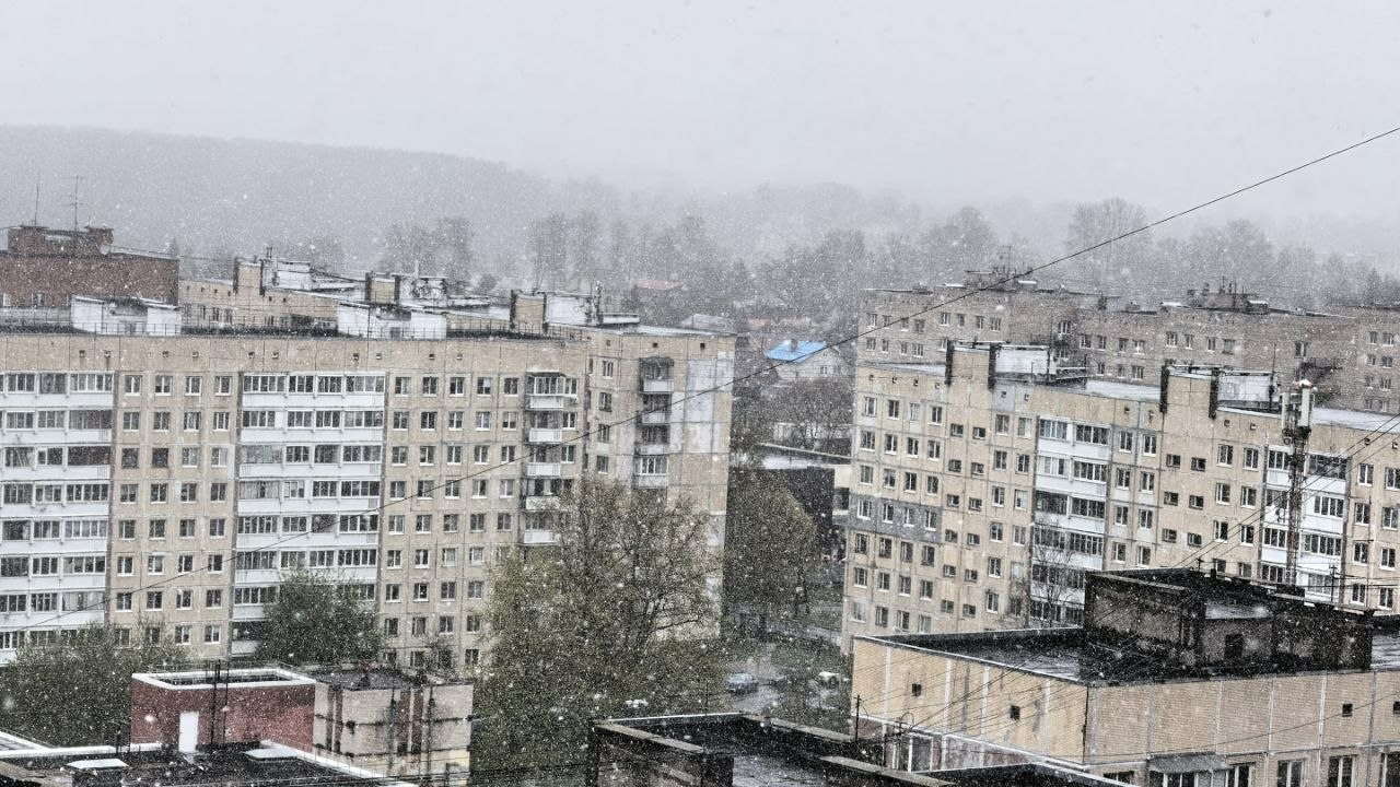 Ловушка для летней резины: снег вернулся в Петербург и Ленобласть