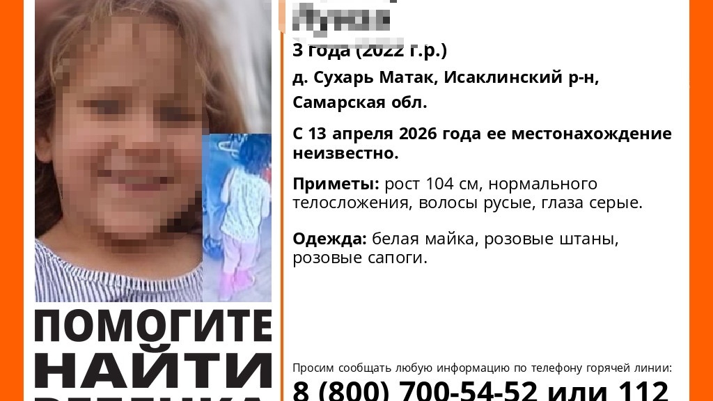 Пошла гулять со старшими: 3-летняя малышка бесследно пропала в деревне под Самарой