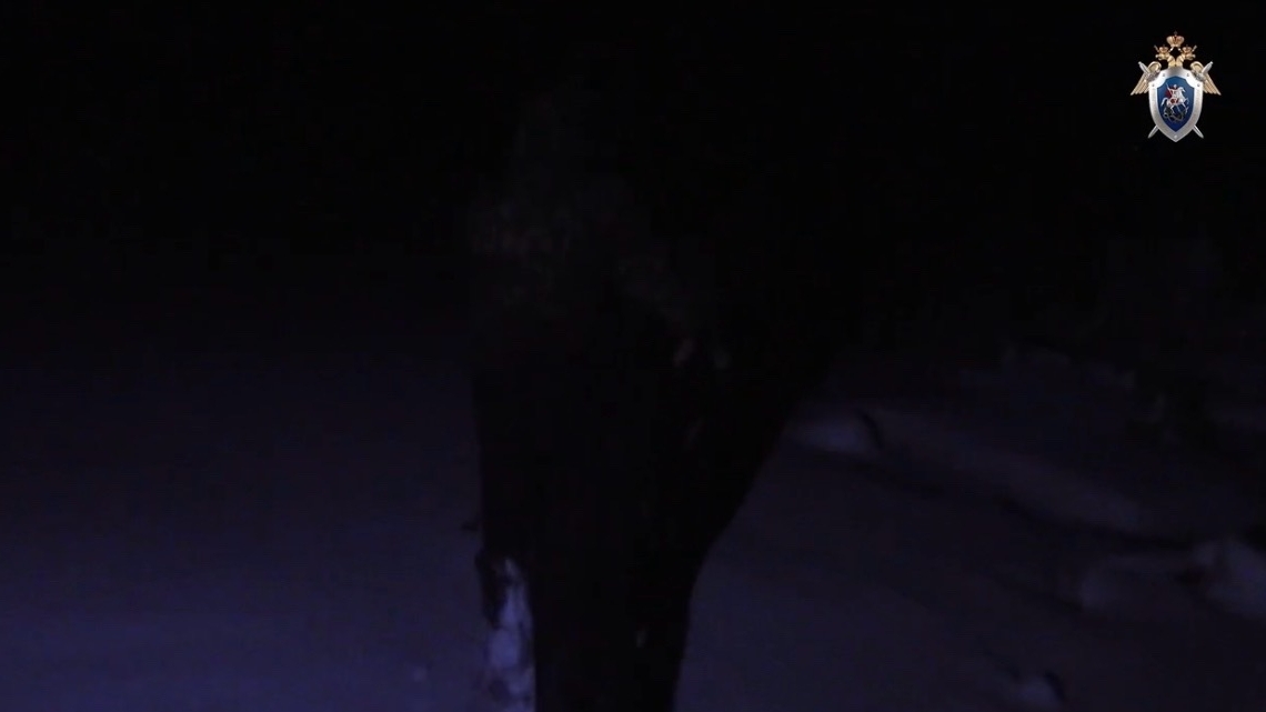 В Пермском крае агрессор задушил беременную и выбросил труп на свалку