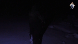 В Пермском крае агрессор задушил беременную и выбросил труп на свалку