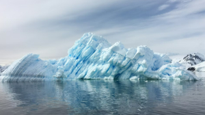 Петербургские полярники открыли новый оазис в Антарктиде, населенный пингвинами и тюленями