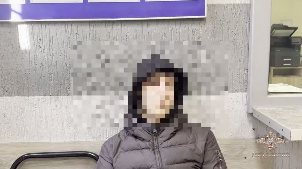 Юного экстремала задержали после трехчасовой поездки снаружи скоростного поезда между Москвой и Петербургом