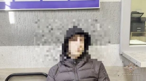 Юного экстремала задержали после трехчасовой поездки снаружи скоростного поезда между Москвой и Петербургом