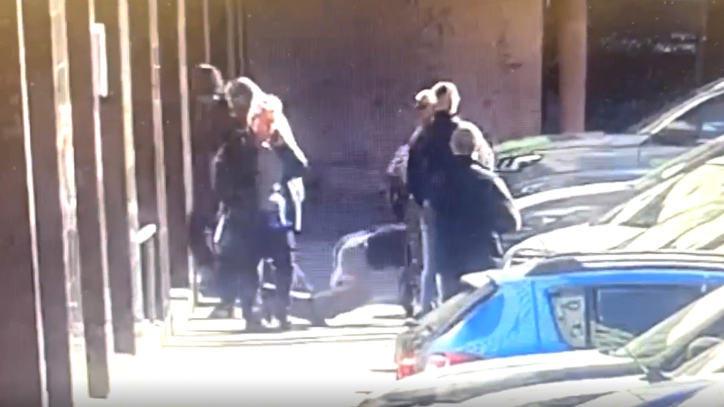 Наркобарыг и наркоманов задержали в центре Петербурга: видео