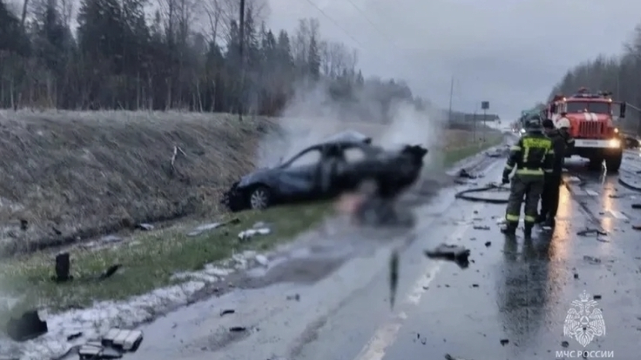 Столкновение с фурой под Петербургом унесло жизни водителя и пассажира легковушки: фото