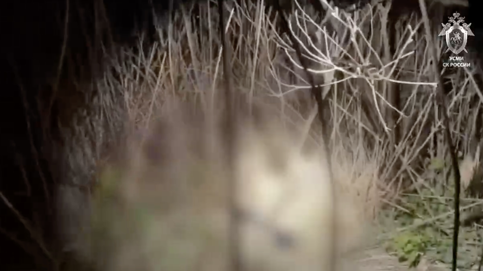 Убийца пропавшей на Кубани 11-летней девочки показал, как задушил ребенка: видео