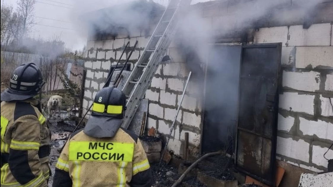 В Нижнем Новгороде 200 щенят сгорели заживо из-за невнимательной заводчицы