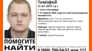 В Петербурге вторую неделю ищут 12-летнего мальчика