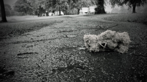 Мазутный дождь и отравленные бездомные животные: что происходит в Туапсе после атаки БПЛА?