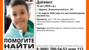 Погулял с подругой и пошел домой: подробности исчезновения 10-летнего мальчика в Мурино