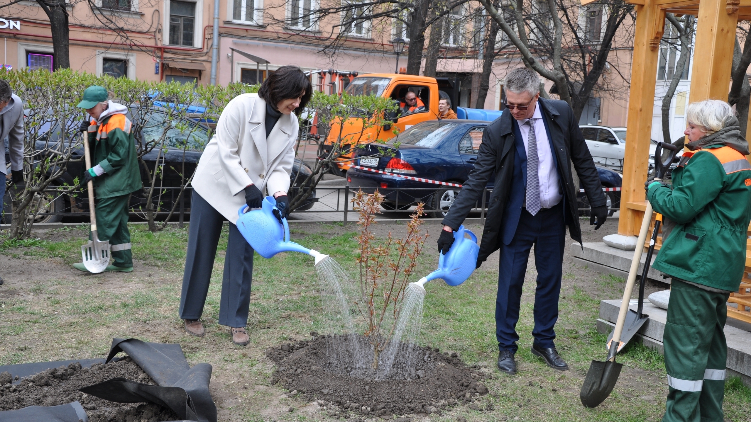 Японская весна на Литейном: петербуржцы высадили пять молодых сакур в саду Дружбы