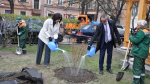 Японская весна на Литейном: петербуржцы высадили пять молодых сакур в саду Дружбы