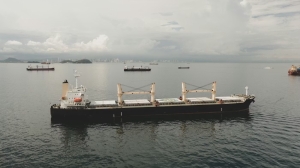 Швеция задержала балкер из Ленобласти: моряков подозревают в сбросе отходов