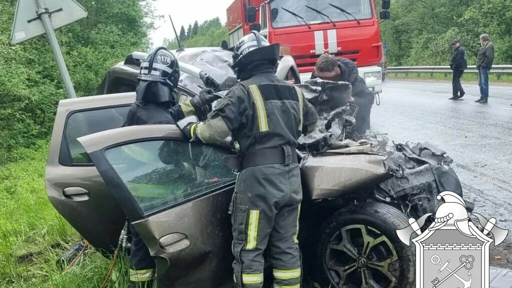Пожарные извлекли три тела: ДТП под Петербургом унесло жизни ребенка и двух взрослых