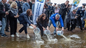 Сиги на свободе. В Петербурге прошла акция зарыбления