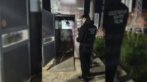 Мама с малышом рухнули в шахту лифта в надземном переходе во Владимире