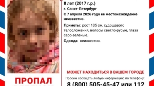 Петербург ищет восьмилетнюю девочку, пропавшую месяц назад