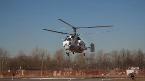 Вертолет у Петропавловской снес детскую коляску петербуржцев и погнул березу