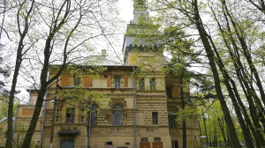 Петербургскую «Сосновку» отреставрируют и превратят в культурный центр