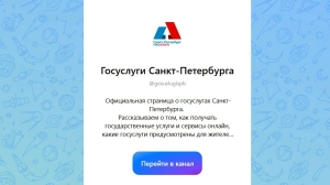 Петербуржцы узнают о новых госуслугах из популярных соцсетей и «МАКСа»