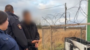 За поджог вышки в Ленобласти подросток получил 6,5 лет в воспитательной колонии