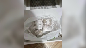 Житель Бурятии купил в Петербурге 1,3 кг запрещенки и получил семь лет «строгача»