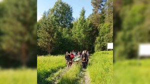 Петербурженку с переломом доставили до «скорой» на носилках из лодки и веток
