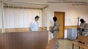 Петербуржские таможенники поймали колумбийца, пытавшегося стать наемником ВСУ
