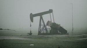 ОПЕК не ждет пика спроса на нефть в ближайшее время
