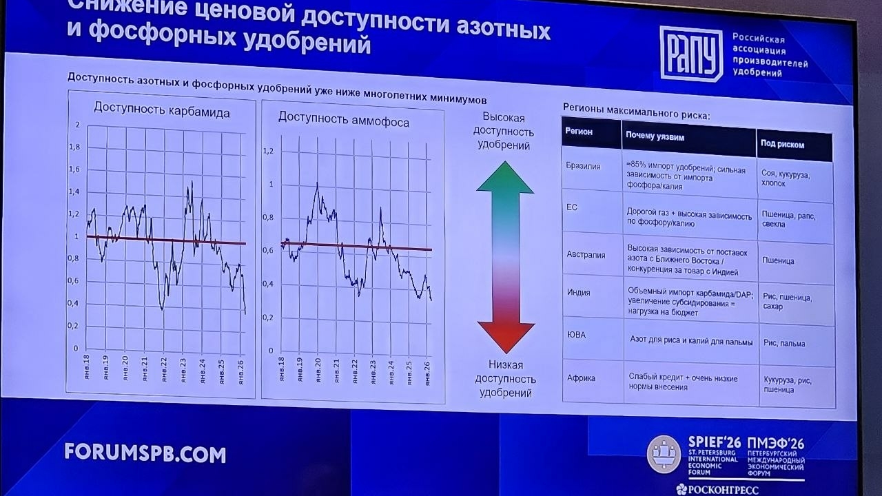 На ПМЭФ-2026 эксперты затронули тему глобального продовольственного кризиса